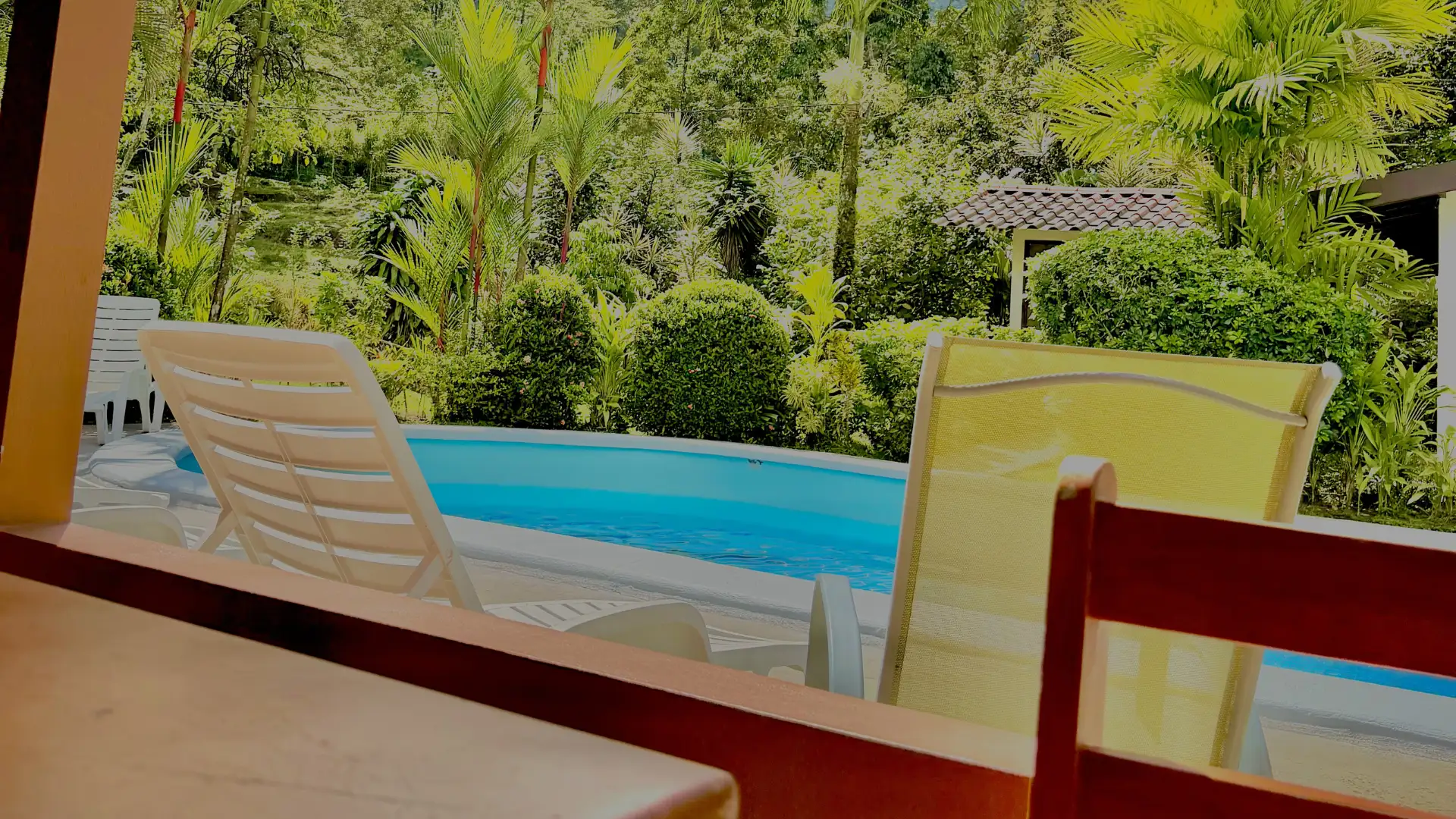 Sillas de descanso frente a una piscina azul rodeada de densa vegetación tropical y palmeras.