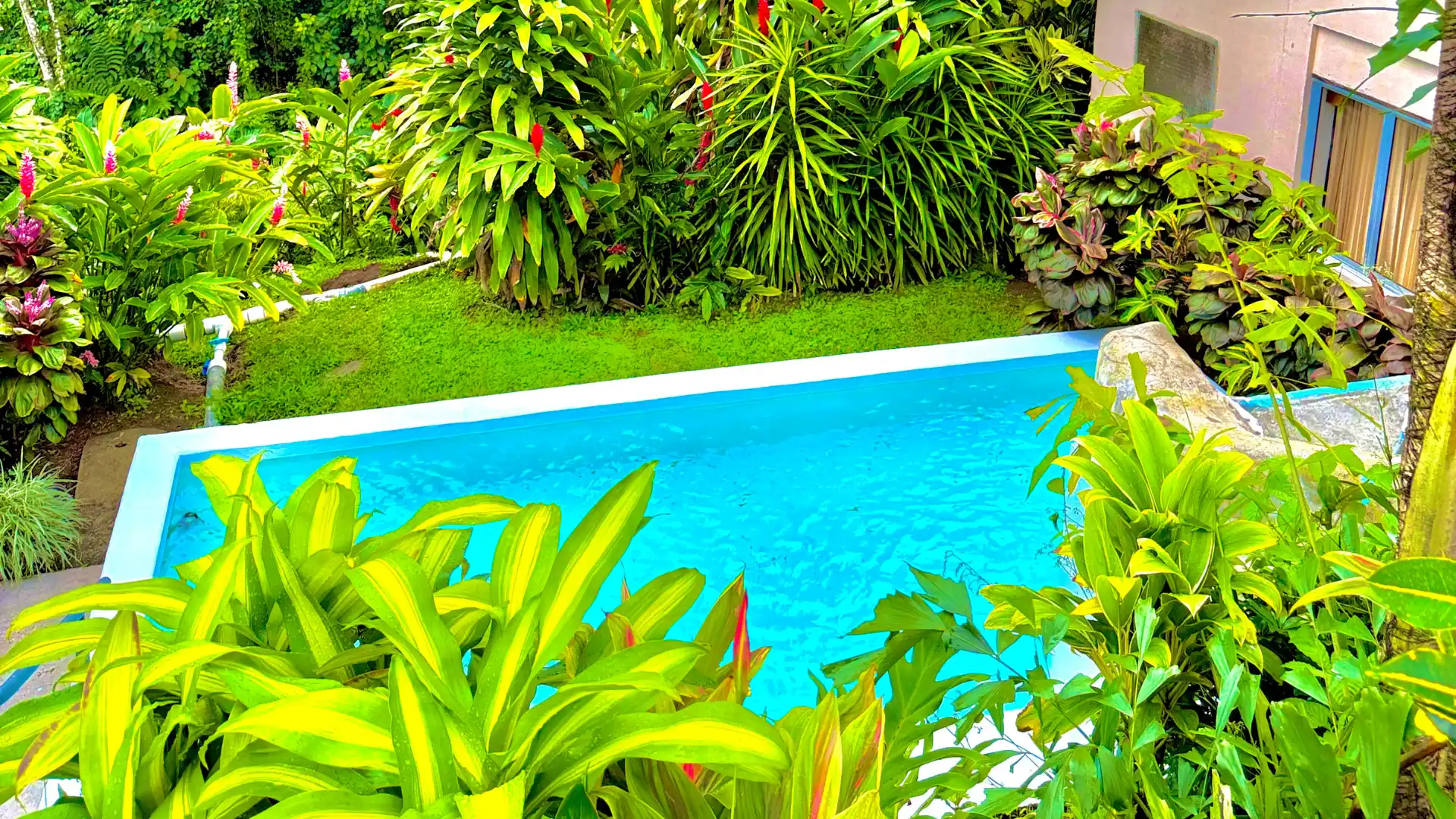 Piscina de agua cristalina color turquesa rodeada de densa vegetación tropical y flores en el Hotel Loma Real.